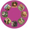 Kleine lichtprojector paarden - Afbeelding 3