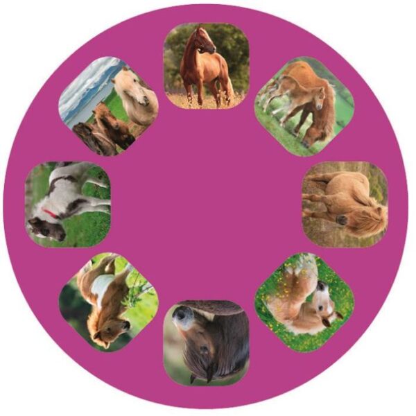Kleine lichtprojector paarden - Afbeelding 3